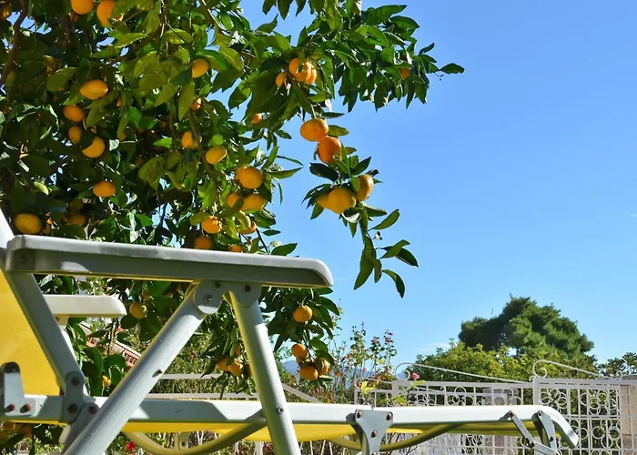 公寓 Laidback - Comfort One Bedroom With Balcony And Sea View 奥瑞比克